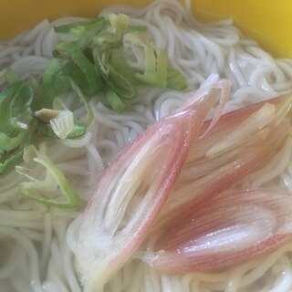 ネギとミョウガのにゅうめん